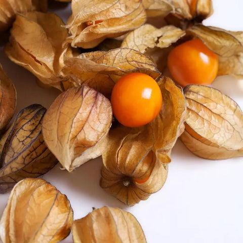 Bio Physalis 100g