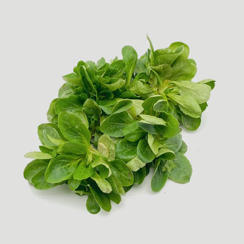 Bio Vogerlsalat 100g